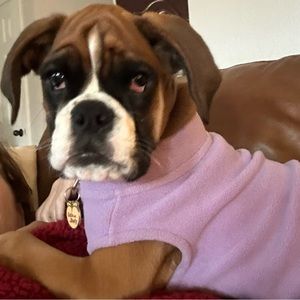 Gooby Stretch Fleece Vest - Lavender Size Large